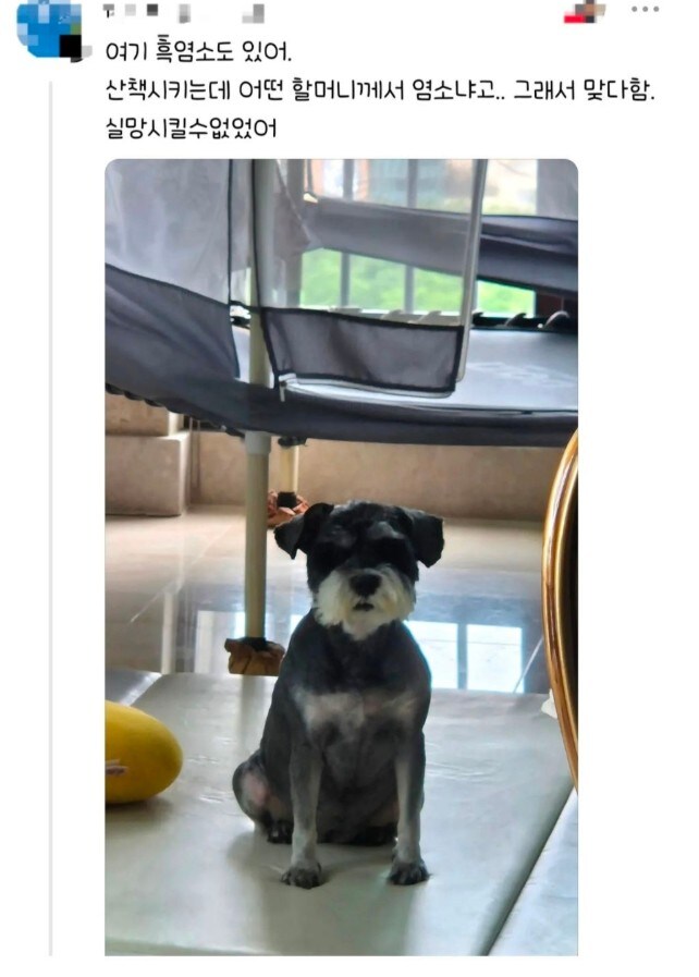 편견없는 대한민국_3.jpg