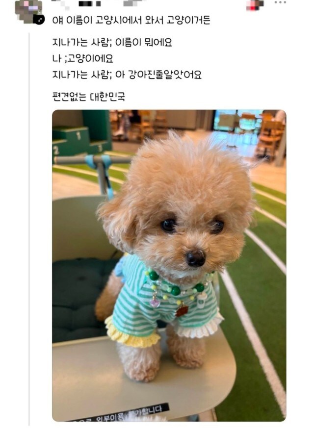 편견없는 대한민국_7.jpg