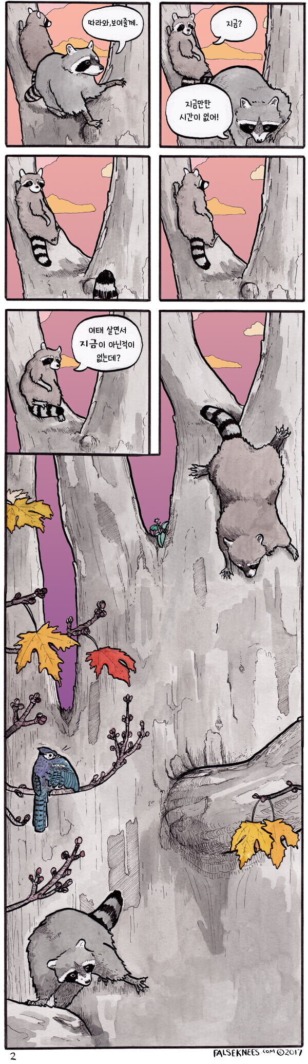 어딘가 철학적인 라쿤 만화.manga_2.jpg