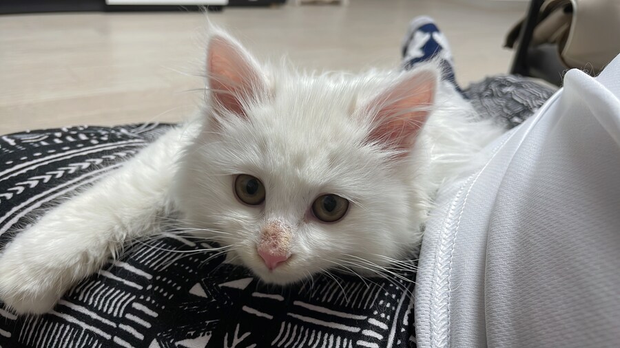 정은 주지 않겠다고 생각한지 500여일째_3.jpg