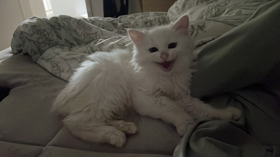 정은 주지 않겠다고 생각한지 500여일째_6.jpg