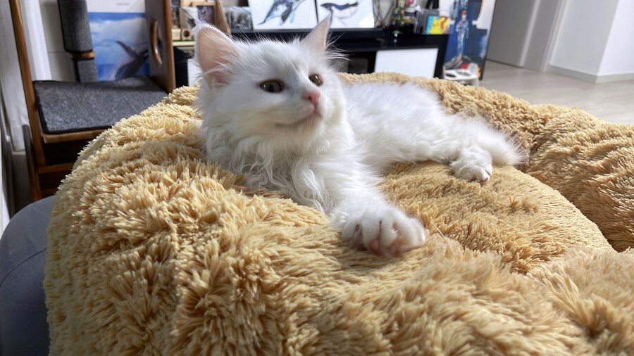 정은 주지 않겠다고 생각한지 500여일째_8.jpg