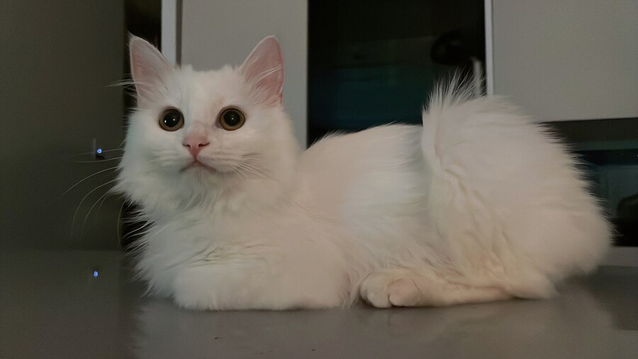 정은 주지 않겠다고 생각한지 500여일째_9.jpg