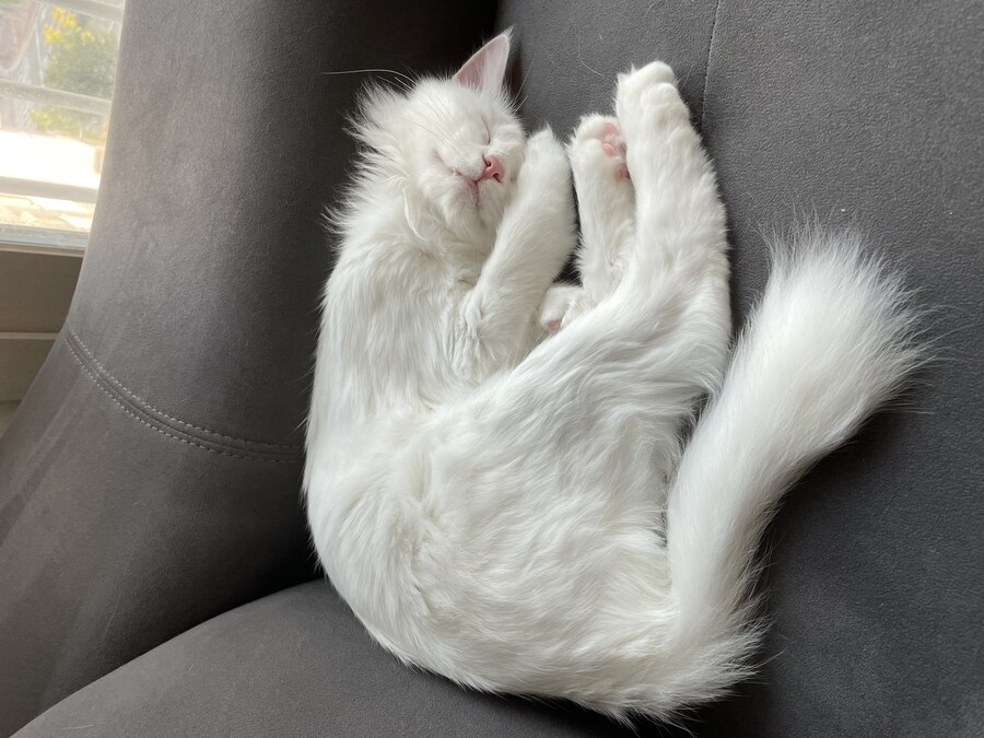 정은 주지 않겠다고 생각한지 500여일째_12.jpg