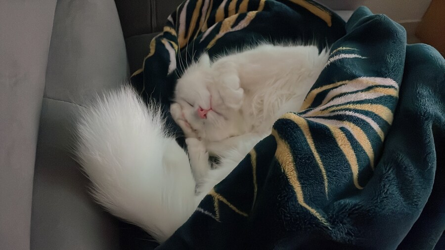 정은 주지 않겠다고 생각한지 500여일째_16.jpg