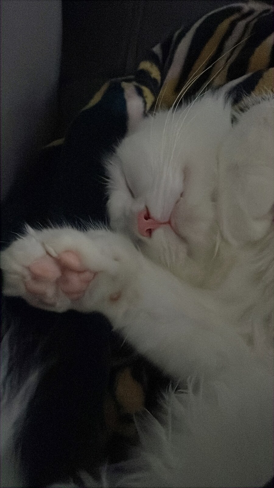 정은 주지 않겠다고 생각한지 500여일째_17.jpg