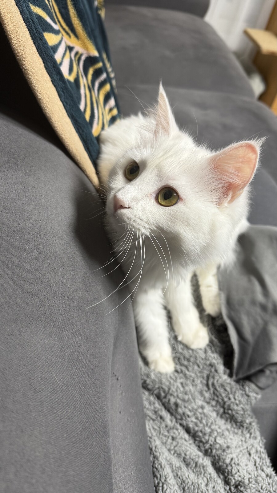 정은 주지 않겠다고 생각한지 500여일째_24.jpg