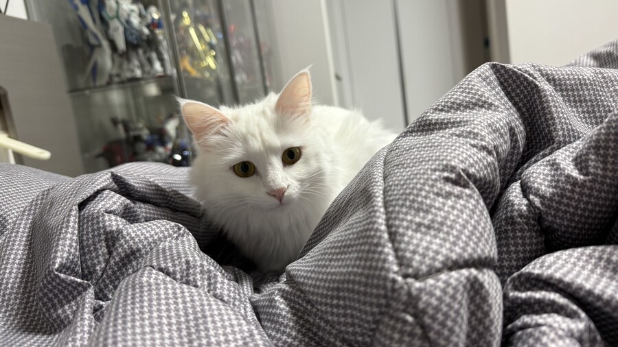 정은 주지 않겠다고 생각한지 500여일째_25.jpg