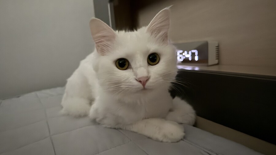 정은 주지 않겠다고 생각한지 500여일째_32.jpg