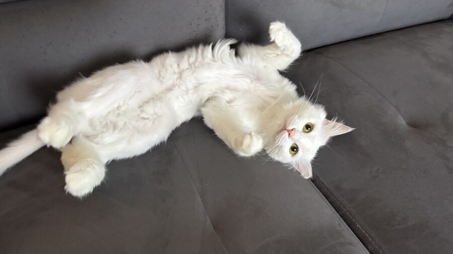 정은 주지 않겠다고 생각한지 500여일째_35.jpg