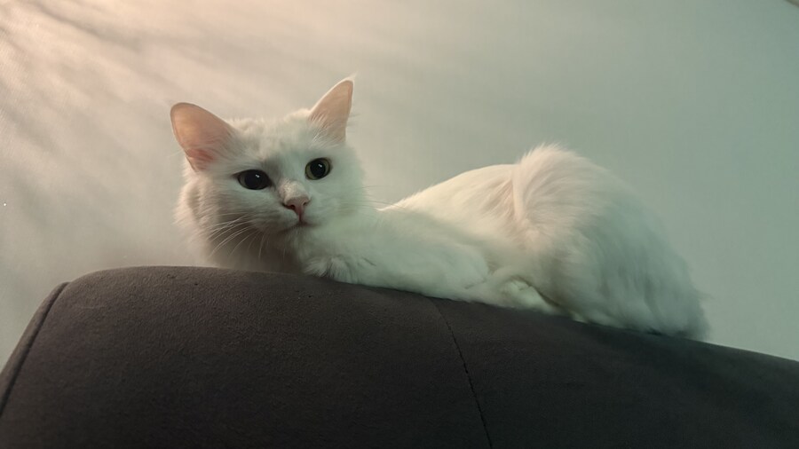 정은 주지 않겠다고 생각한지 500여일째_38.jpg