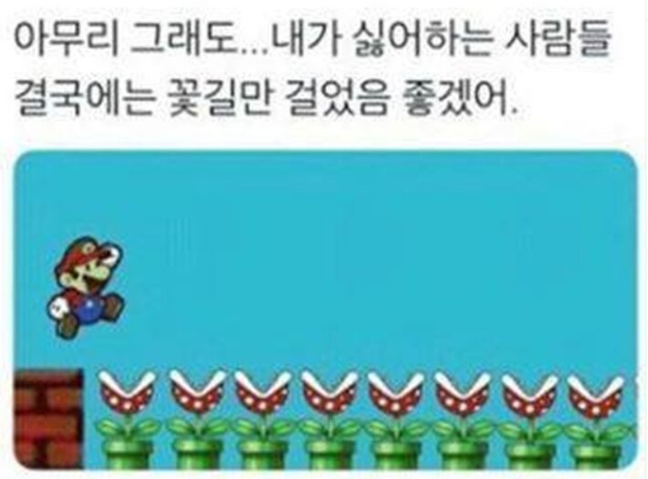 자기가 싫어하는 사람들이 꽃길만 걸었으면 좋겠다는 사람_1.png