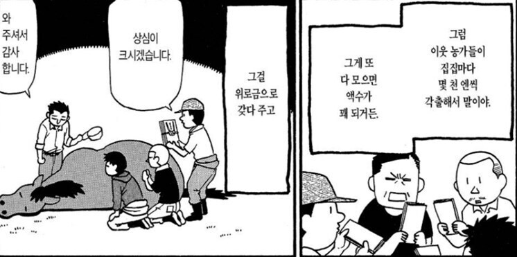강연금 작가가 '전해 들은' 시골 비화_6.jpg