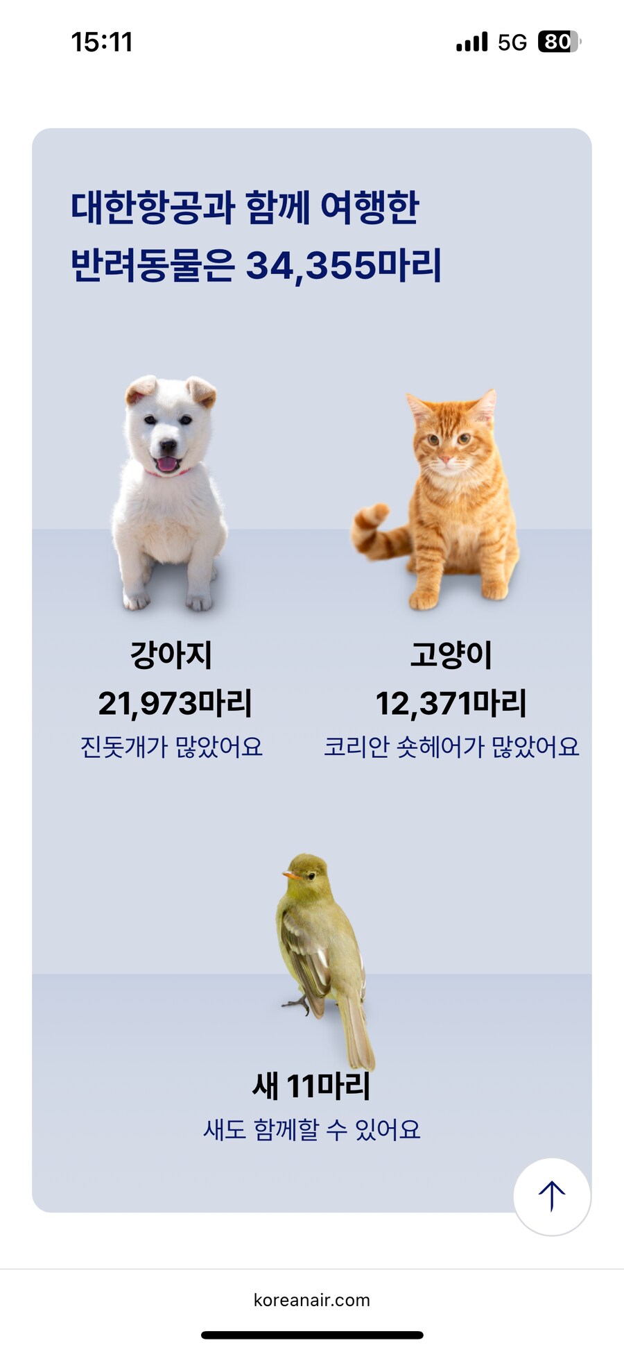 의외로 비행기에 들고 탈 수 있는 반려동물.JPG_1.png