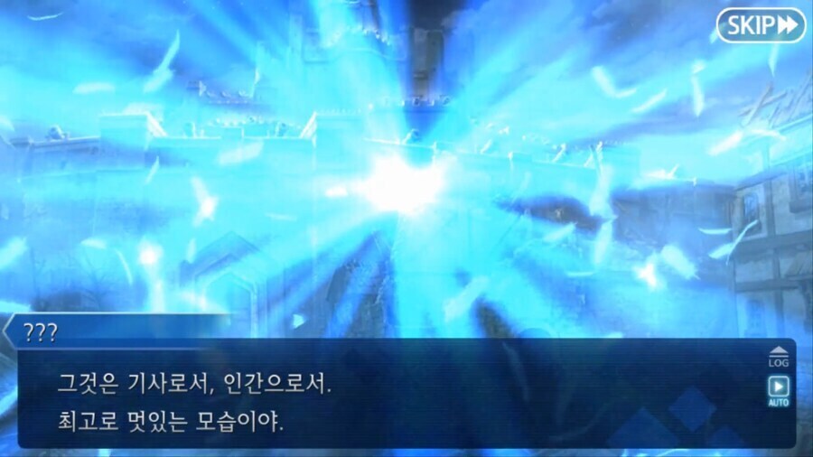 페이트) 달동네 세계의 돈키호테 특징_26.jpg