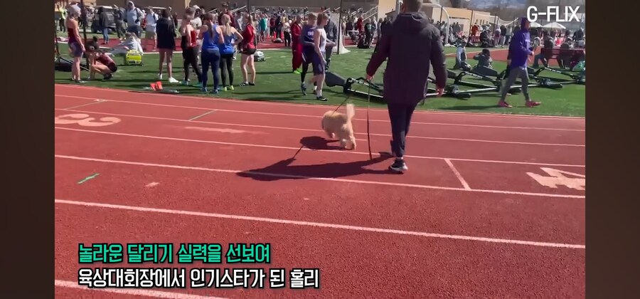 대학 육상 경기에 난입한 똥강아지_7.jpg