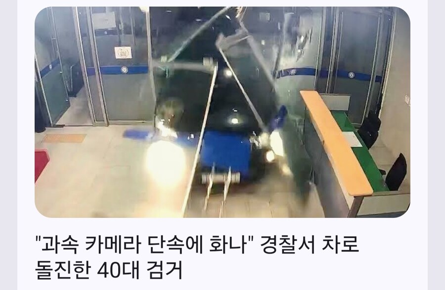 고작 범칙금 같은 솜방망이 처벌이라고? 너무 화가나는군!!!_1.jpg