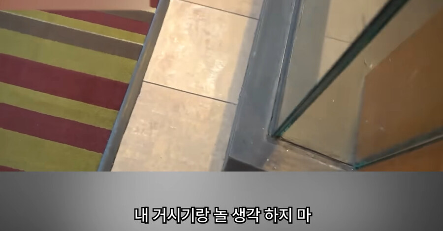 빡침주의)미국에서 골칫거리 부류의 범죄_104.jpg