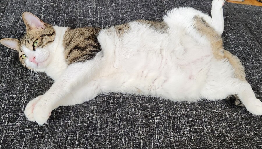 뭐라고 ㅇㅍㄹ가 ㅇ왔다고?_3.jpg