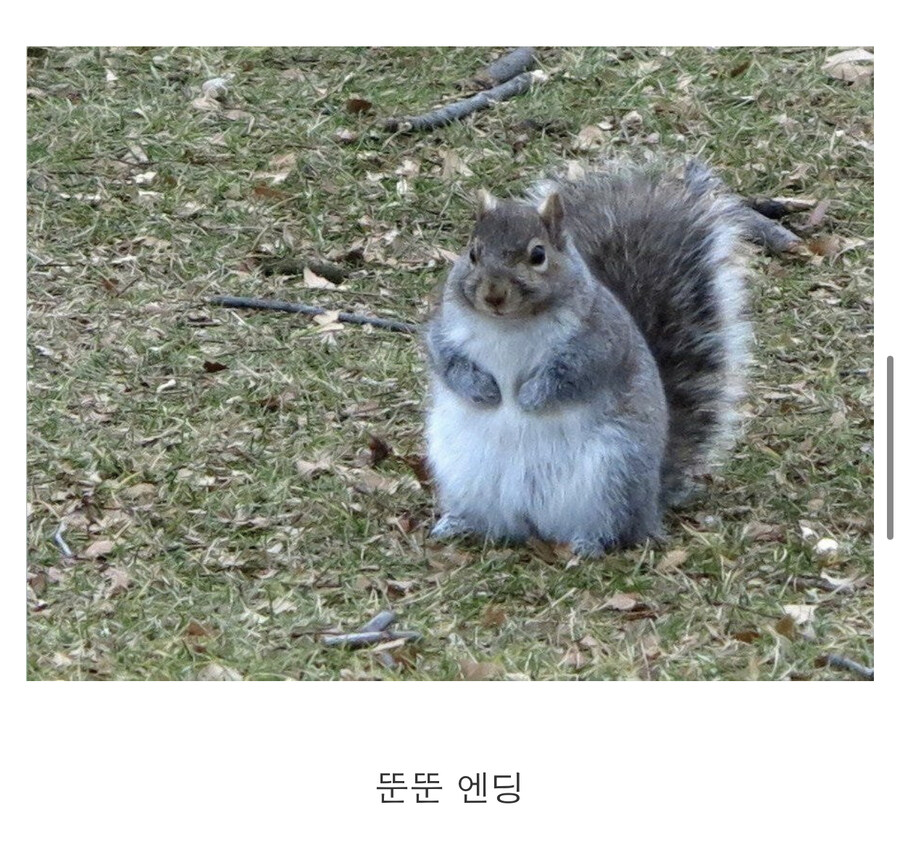 미국에서 할로윈이 한 달 지나면 생기는 일_4.jpg