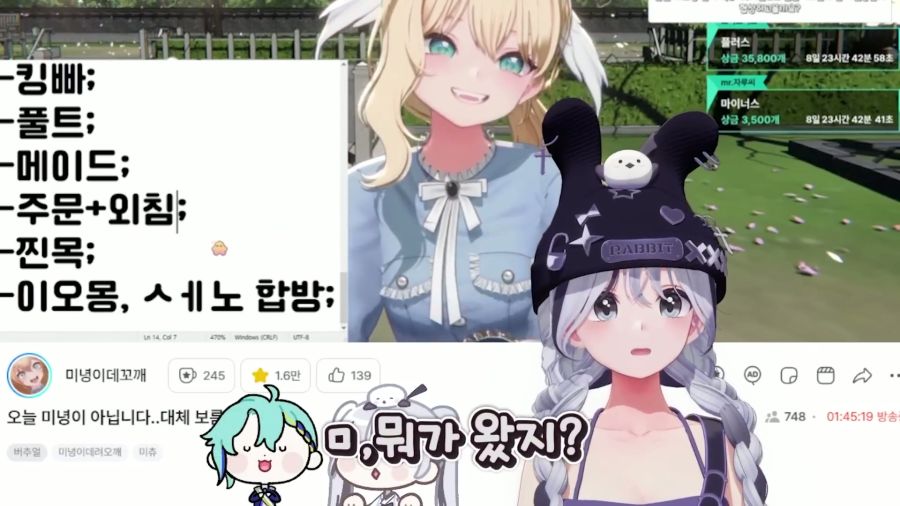 버튜버)불구경 할때 거리두기를 잘 해야하는 이유_2.jpg
