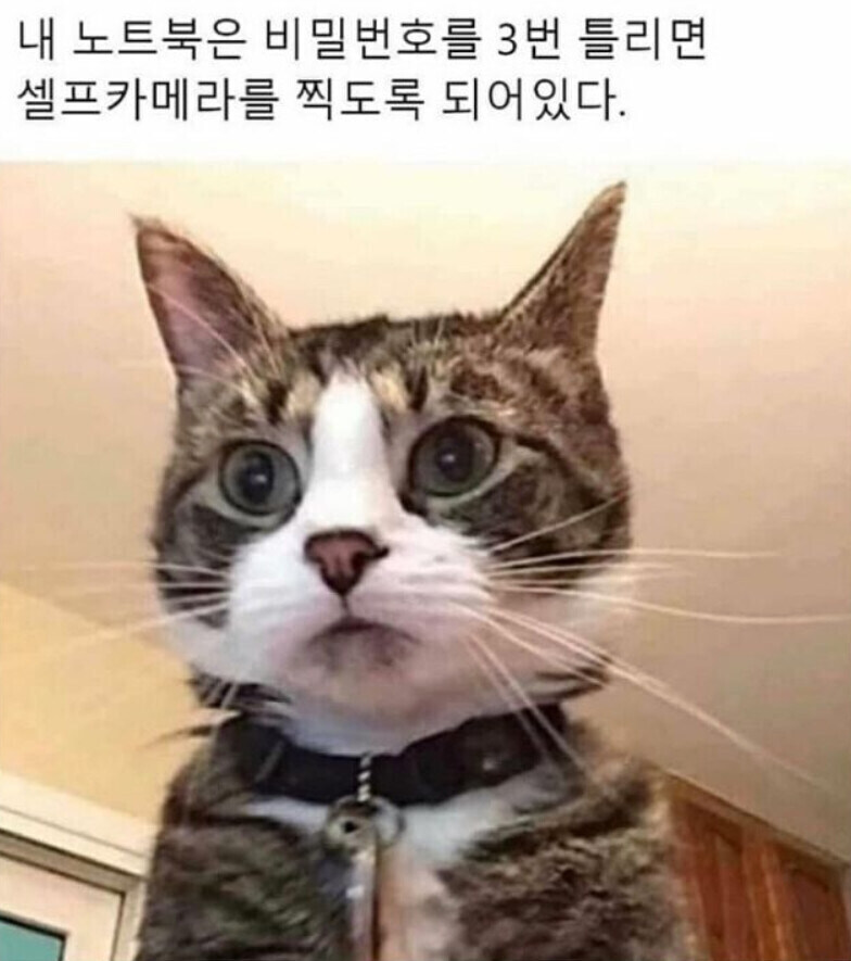 내 노트북은 비번을 3번 틀리면 셀카를 찍도록 되어있다_1.jpg