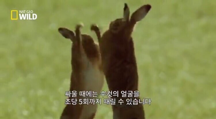 다들 부자 되면 뭐하고 싶음?_1.jpg