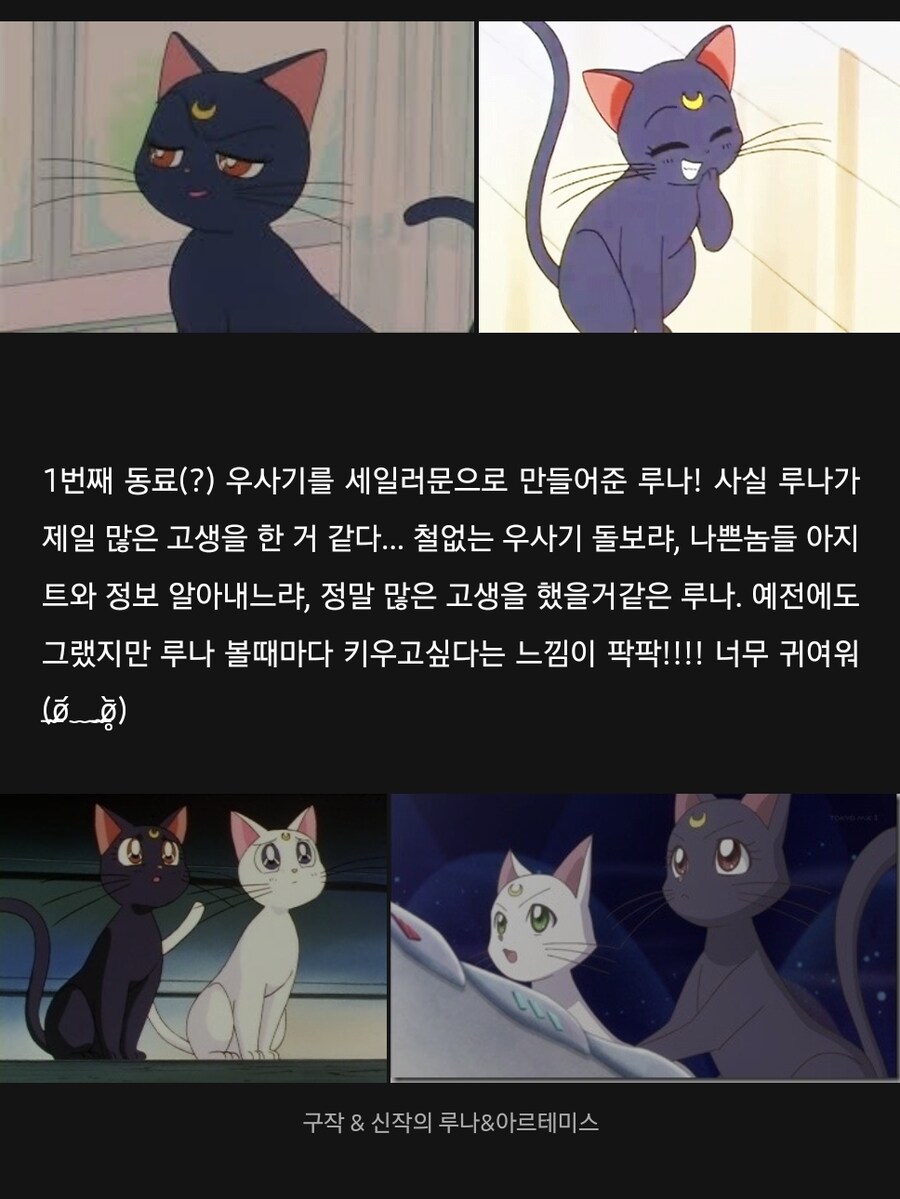 건담) 아시발 이 정신나간 틀딱새끼들_2.png
