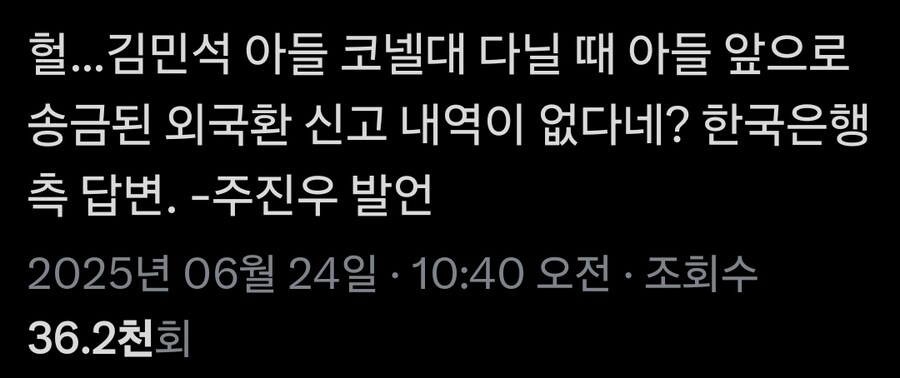 김민석 아들 코넬대 유학시 아들 앞으로 송금된 외국환 신고 내역 없다_2.jpg