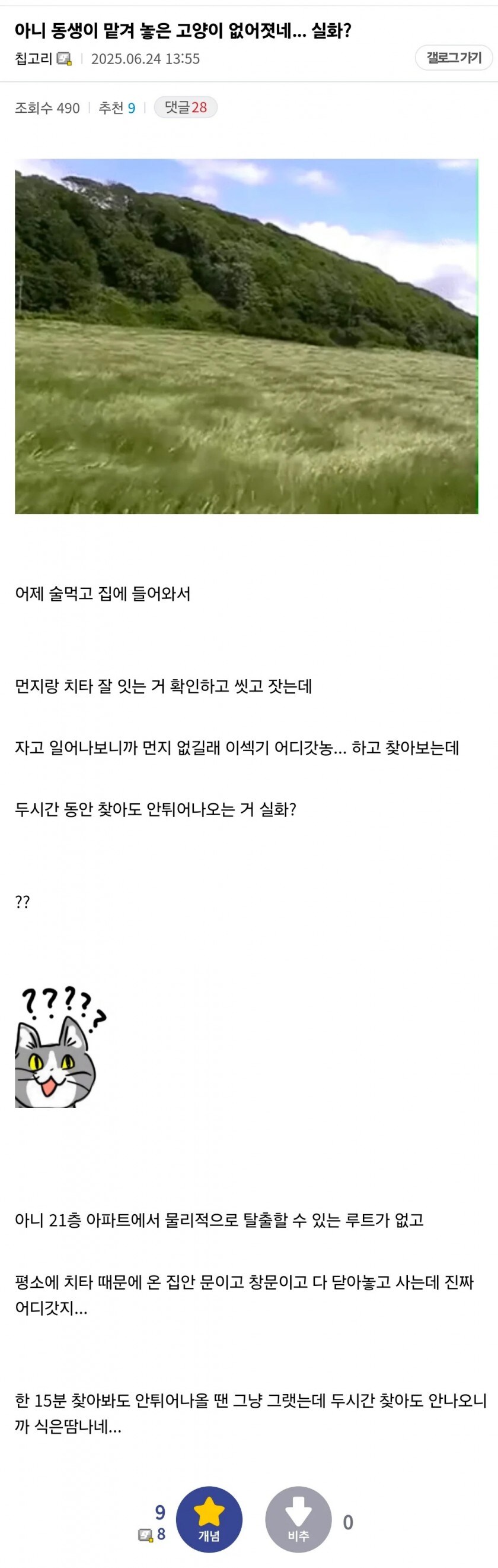 동생이 맡겨놓은 고양이가 사라짐....._1.jpg
