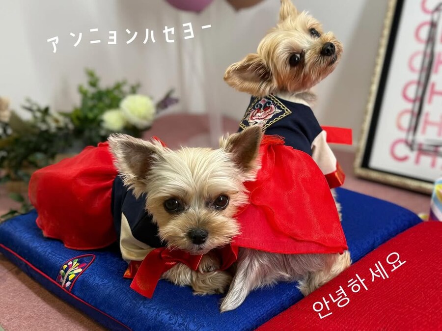 어른스러운 사람한테 키워지고십다_1.jpg