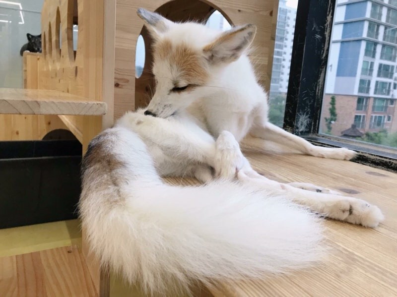 유게이놈들아 너희들은 이걸봐야돼_11.jpg