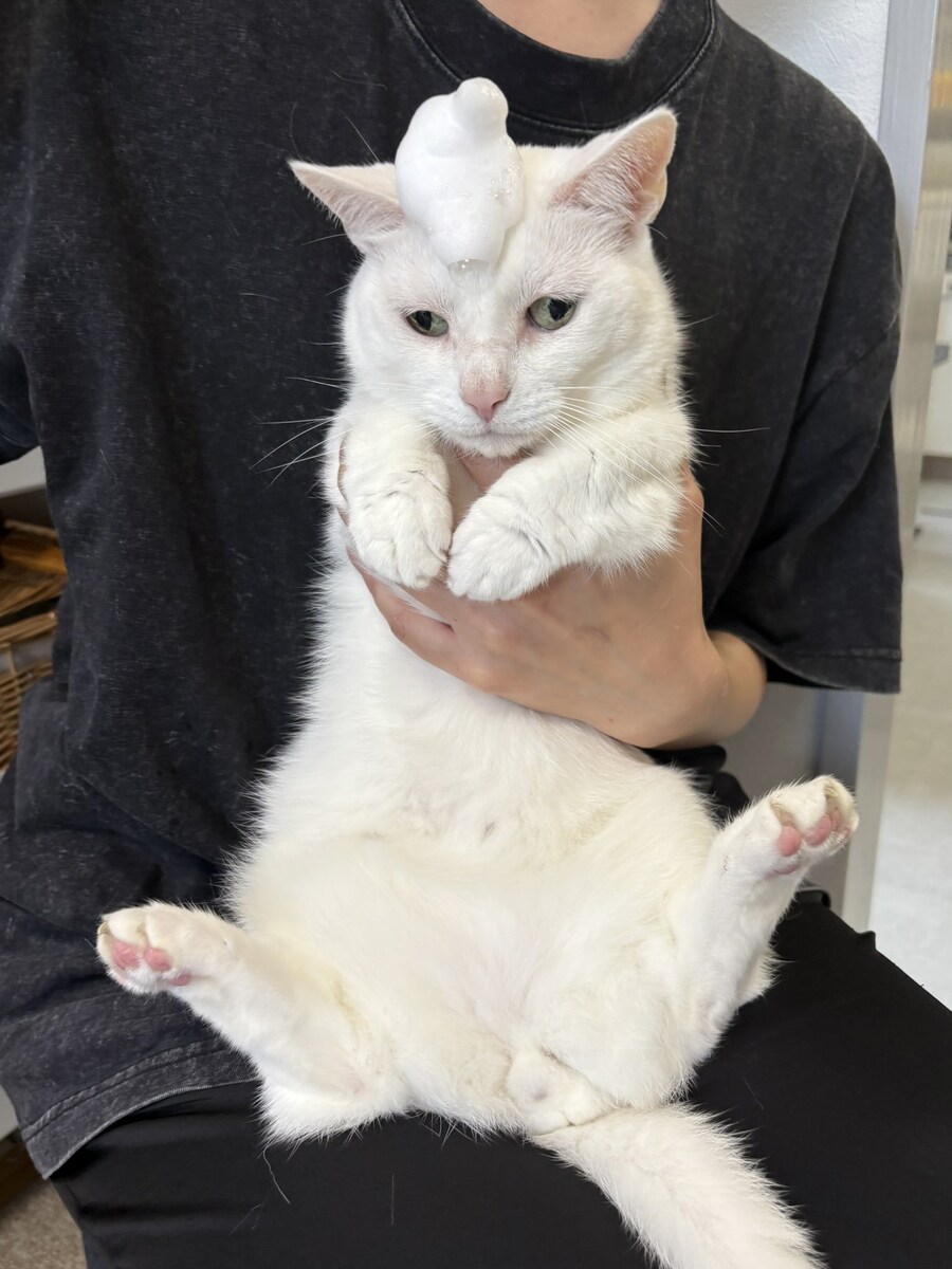 크크큭 포기하는 것이다..._1.jpg