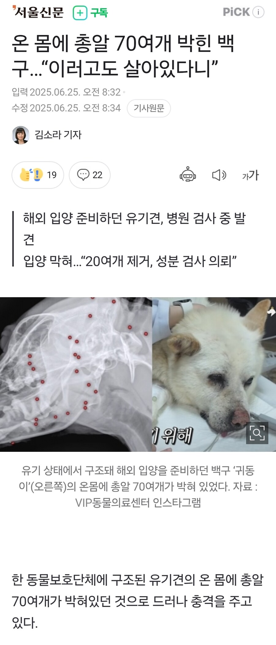 온 몸에 총알 70여개 박힌 백구…_1.jpg