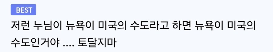 인방)유치원쌤 버튜버 "미국 수도는 뉴욕"_13.jpg