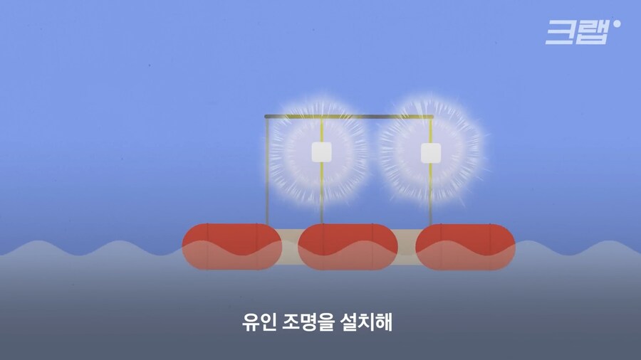 수도권 요즘 하루살이 안보이는 이유_2.png