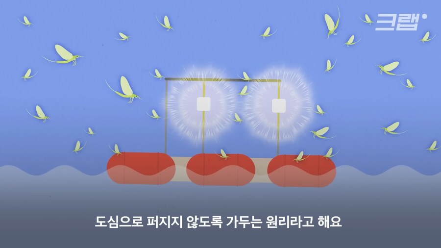 수도권 요즘 하루살이 안보이는 이유_3.png