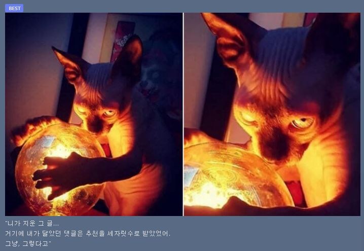 게시글을 함부로 지우면 안 되는 이유_1.jpg