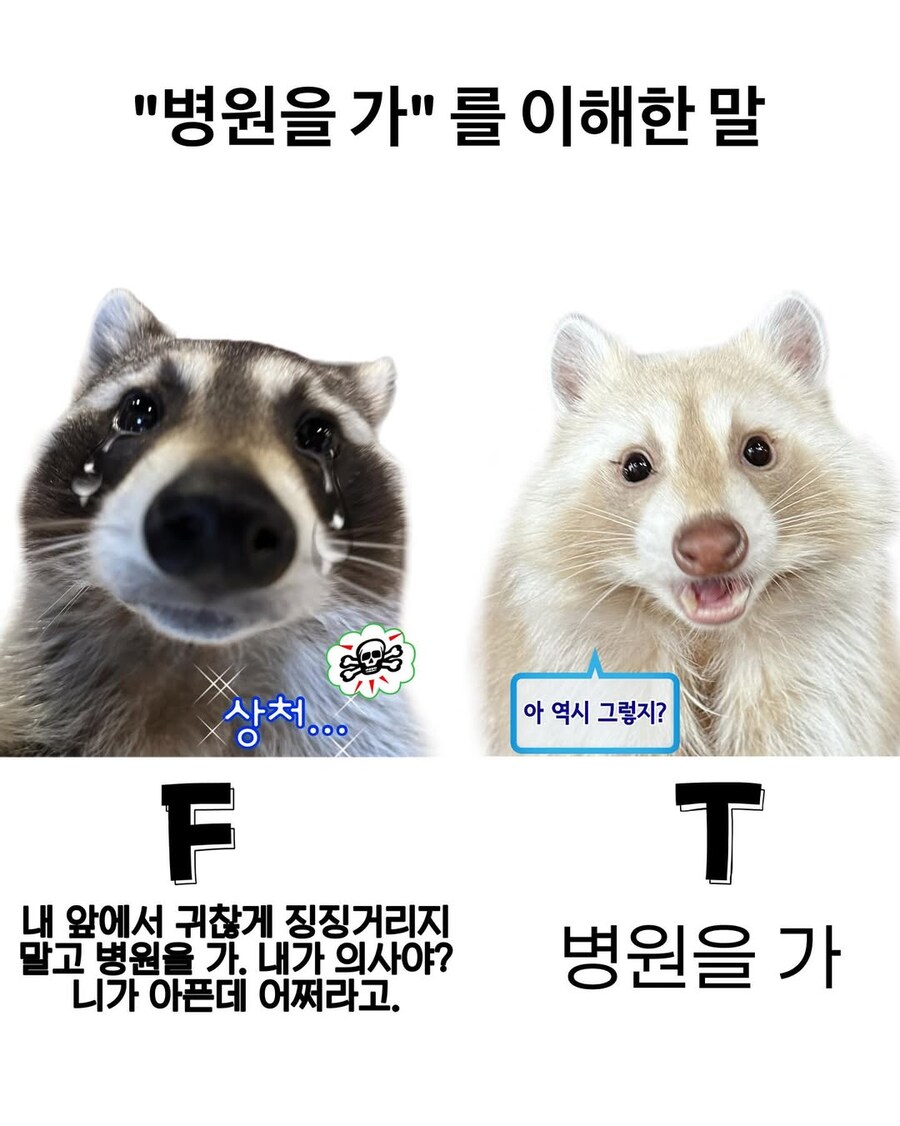 "병원을 가"를 이해한 말.jpg