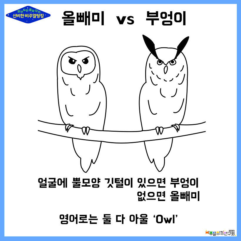 마비m) 데브캣의 허위광고_2.jpg