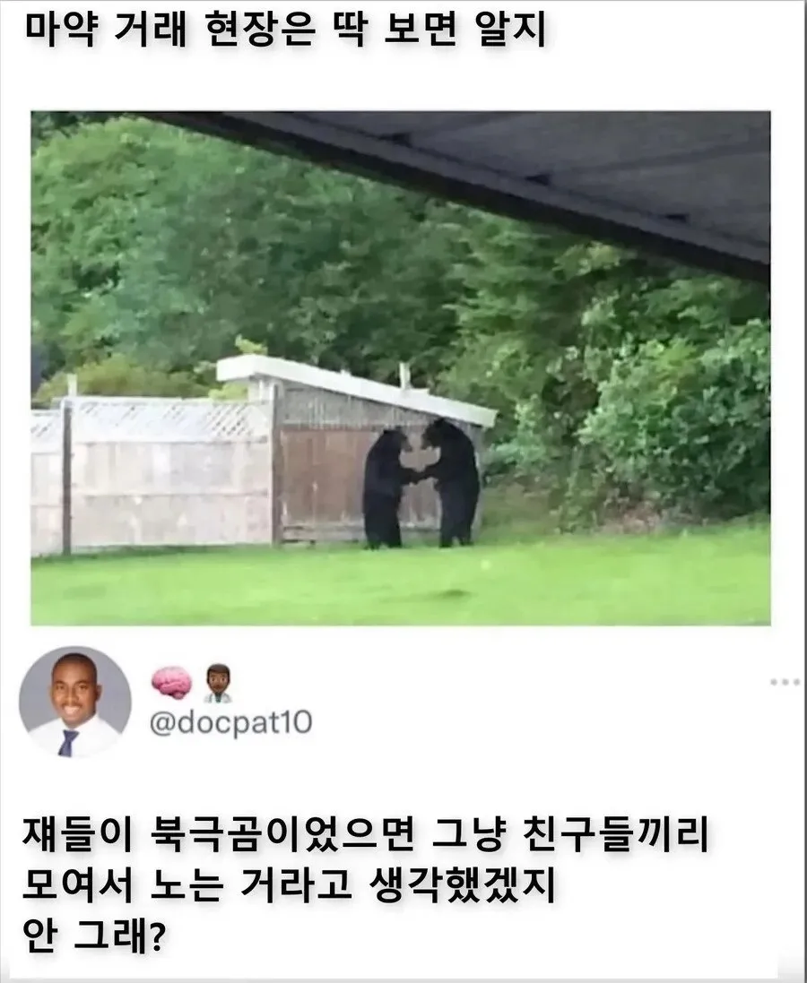 마X 거래 현장_1.webp