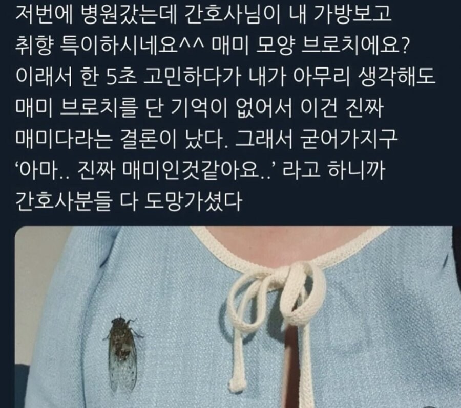 특이한 브로치_1.jpg