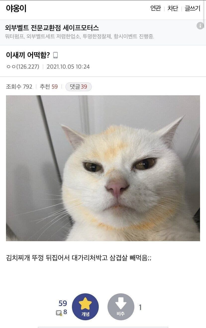 뭐? ㅅㅂ 뭐 내가 잘못했냐? 뭐 어쩌라고?_1.jpg