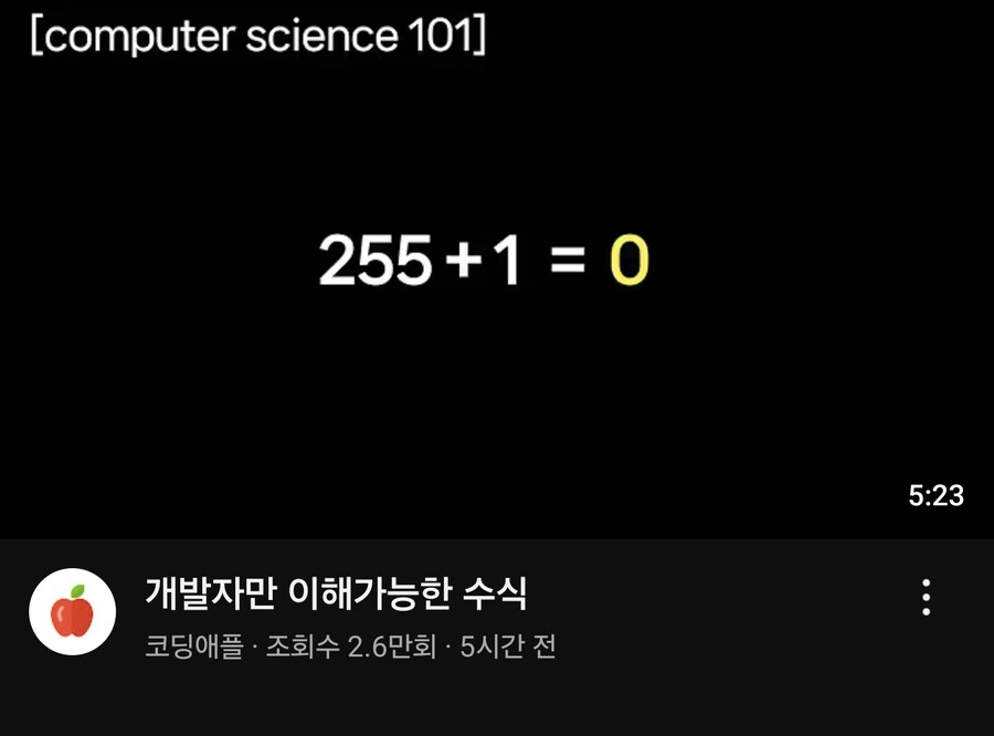 "255+1은 얼마일까요?"_1.jpg