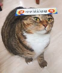 디맥 사건사고 터졌을 때 내가 한 일_2.jpg