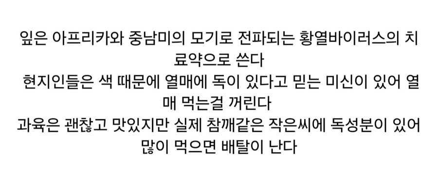 재미있고 신비한 열매들_17.jpg