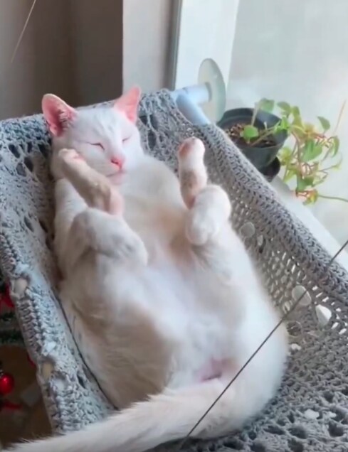 얘는 왜 이러고잠ㅋㅋ_1.png