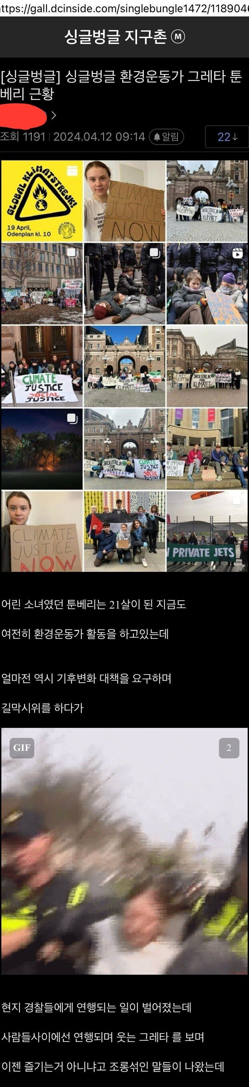 코인판의 집단광기를 보여주는 외국사례.feat 툰베리_1.jpg