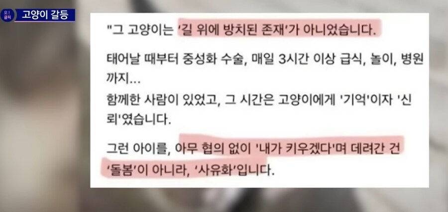 길고양이 입양했더니 욕먹은 사연.jpg_5.png