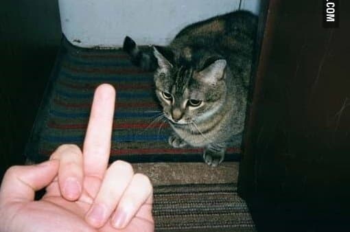 21년도 유게이에게 말했다면 돌맞았을 소리_1.jpg